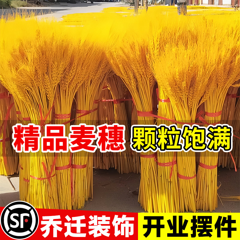 黄金大麦麦穗装饰摆件仿真假花客厅餐桌大麦干花花束乔迁结婚开业
