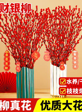 银柳真花鲜枝客厅摆件红色年宵花花卉干花干枝盆栽抱抱桶水培植物