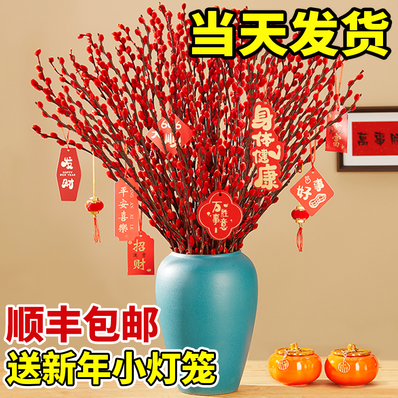银柳真花鲜枝室内喜庆年宵花卉