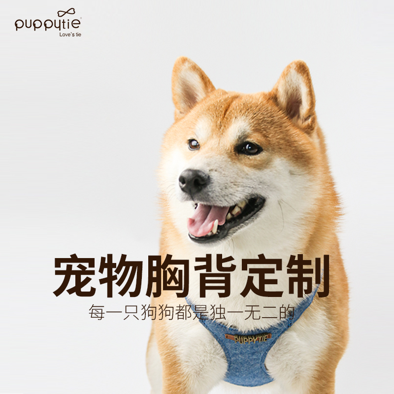 Puppytie牵引绳胸背私人定制