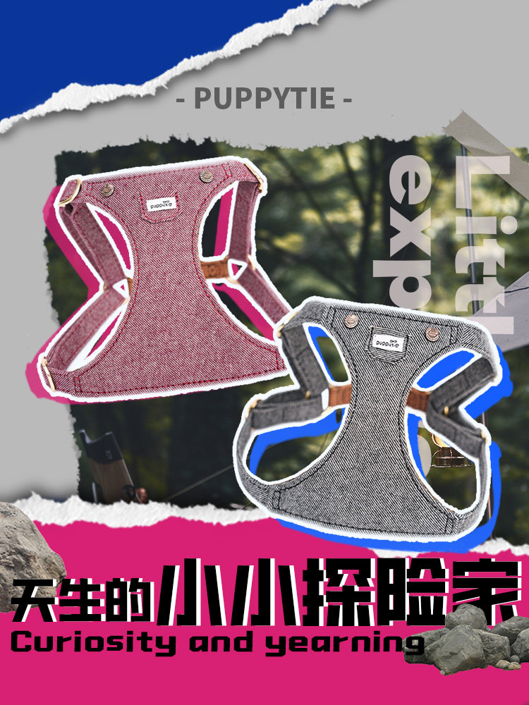 小狗宠物用品狗皮带牛仔马具中型和小型狗容易狗走绳当出去