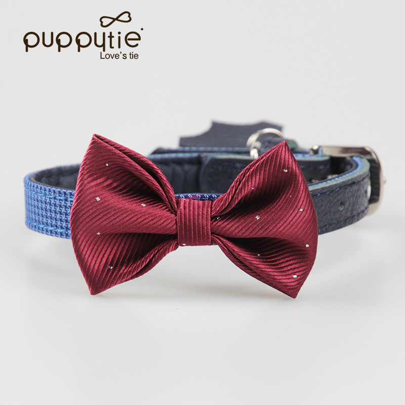 Puppytie小型中型饰品泰迪项圈