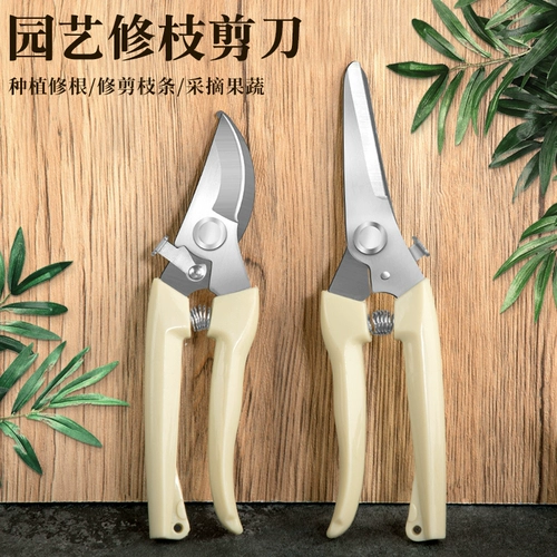 Обрезка фруктовых деревьев.