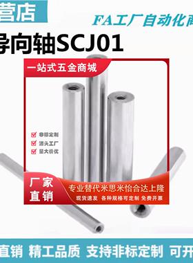 SCJ01指向轴-D12 D13 D15 D16 D18-L100 L200 L300-M4 M5 M6-N4 5