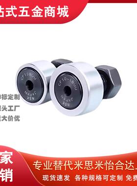 凸轮轴承随动器BPC01/21 BPC02-d5-d6-d8-d10-d12-d16-d18-d20-PP