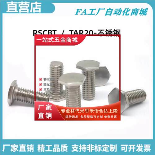 不锈钢薄头螺丝RSCBT外六