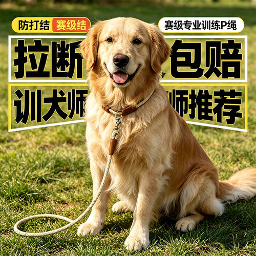 中大型犬加粗防爆冲P链牵引绳