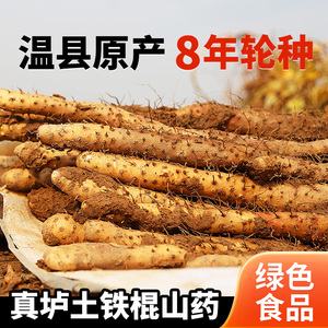 山药秦建国温县原产垆土铁棍山药