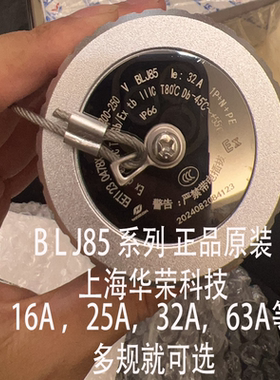 BLJ85系列防爆防腐连接器16A 32A 防爆插头插座 上海华荣科技原装