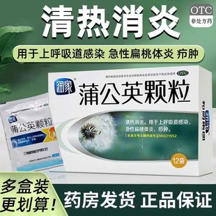 润家蒲公英颗粒12袋清热消炎上呼吸道感染进行扁桃体炎疖肿