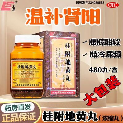 上龙 桂附地黄丸浓缩丸 480丸温补肾阳腰膝酸软肢冷尿频