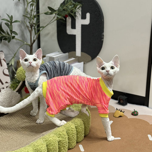 无毛猫衣服夏季薄款四脚吊带背心