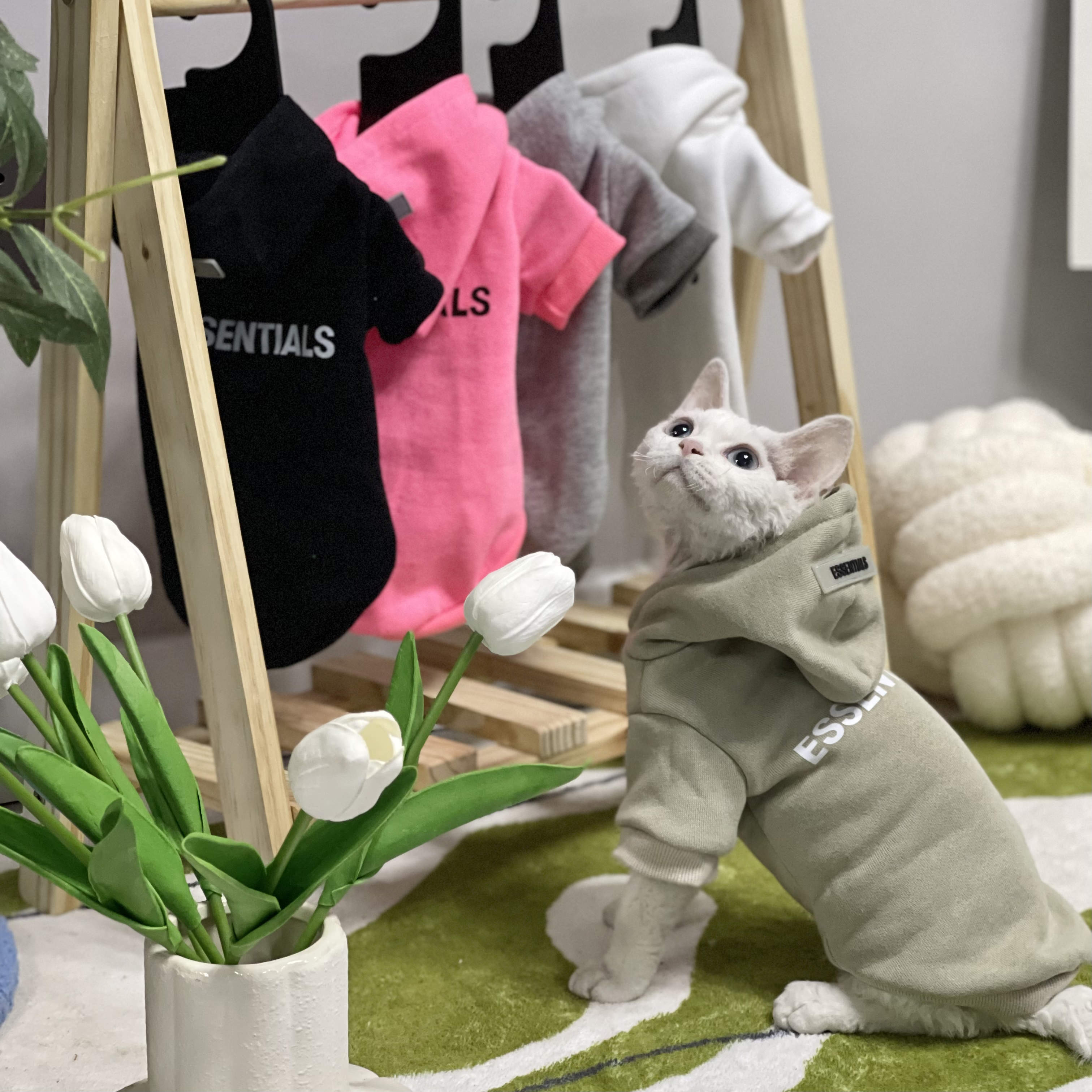 斯芬克斯衣橱无毛猫衣服冬季加绒