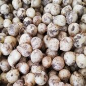 新鲜苦藠头小根蒜团葱薤白野蒜野葱头苦茭头小蒜四川苦藠500g 包邮