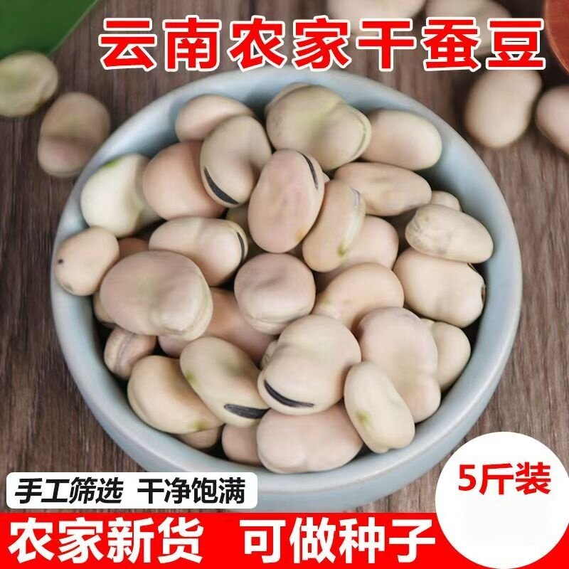 干蚕豆新货生胡豆云南特产农家白皮五谷杂粮蚕豆种子新鲜可发芽种
