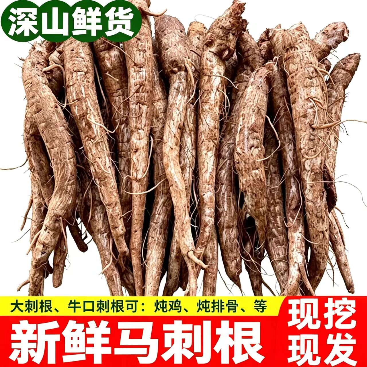 贵州现挖现发大蓟根马刺根牛口刺山萝卜中草药材炖鸡炖猪蹄原材料