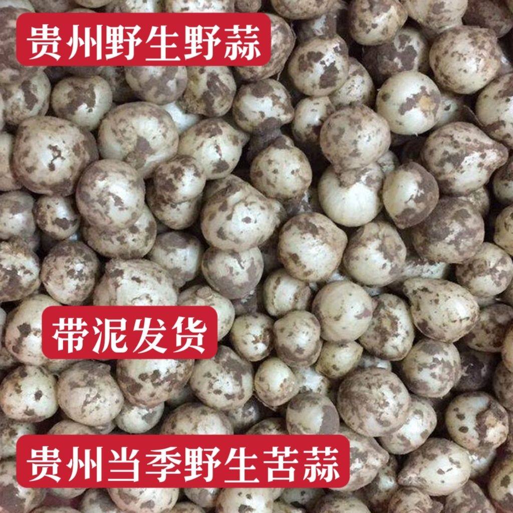 贵州野生新鲜野葱农家小