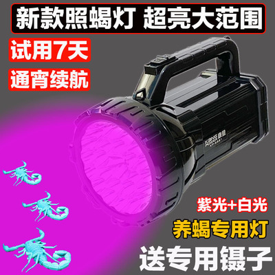 2025新款照蝎子灯强光超亮大功率紫光手电长续航蝎子灯可充电电筒