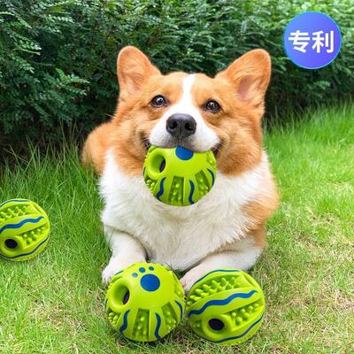 狗狗玩具发声球宠物玩具发声滚动嘻哈法斗大拉布拉多小型犬雪纳瑞