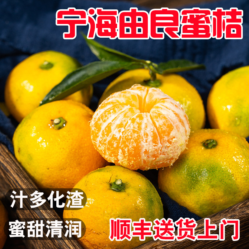 正宗宁海由良蜜桔5斤当季礼盒