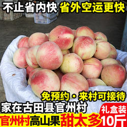 正宗古田水蜜桃白凤新鲜甜脆桃福建大桃子当季礼盒装！官州村直发