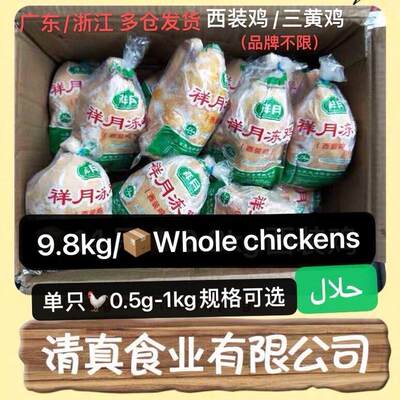 清真西装鸡全鸡Helal whole chicken without giblets 9.8Kg/18pc