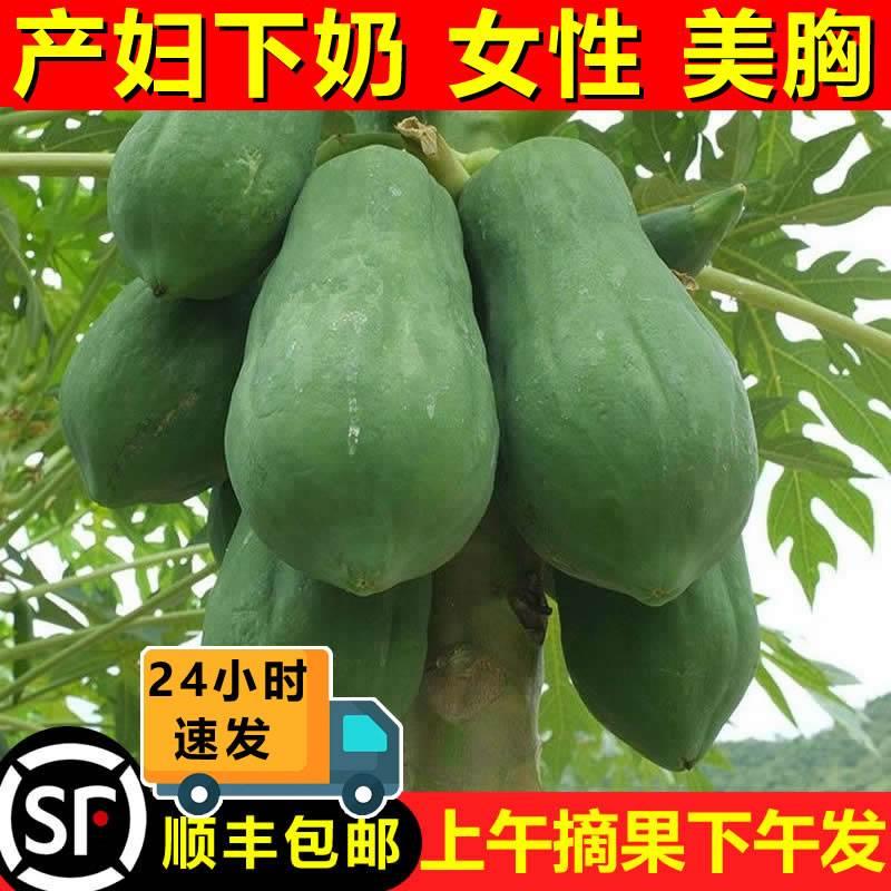 广西青木瓜哺乳期下奶用产妇水果土木瓜沙拉新鲜生木瓜农家蔬菜10