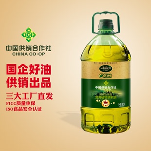 艾丽欧橄榄山茶型食用植物调和油家用炒菜5L桶装食用油