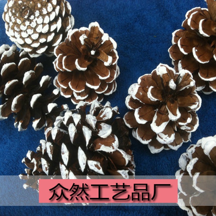 直圣诞装饰天然刷白染白头松果圣诞树挂件配饰拍摄道具