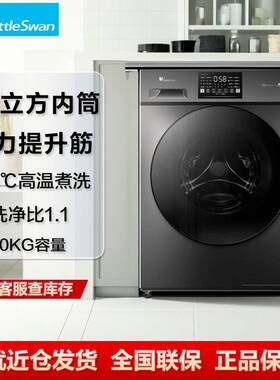 小.天鹅 TG100V23PRO 洗衣机10KG大容量全自动家用除菌洗脱一体机