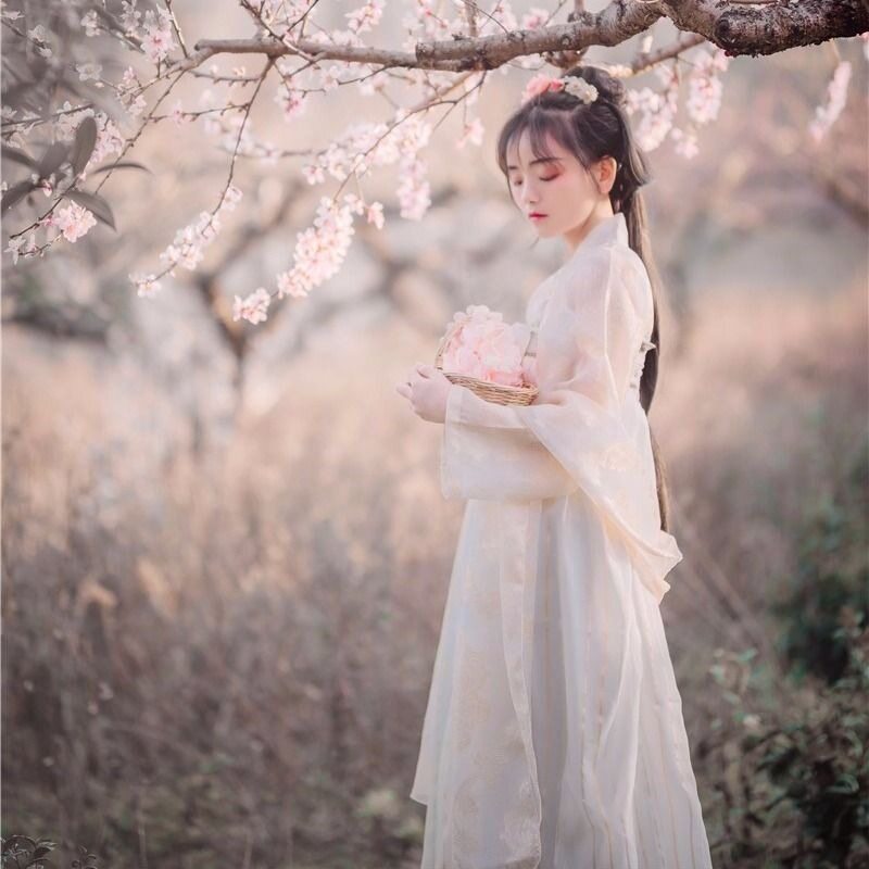 汉服女荣姬改良传统汉服女装刺绣魏晋风齐胸襦裙大袖衫非古装夏季
