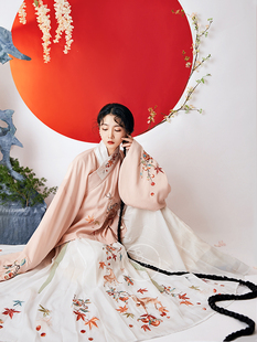 吾心宜[鹿呦呦]秋冬现货加绒绣花明制交领袄马面裙汉服过年服刺绣