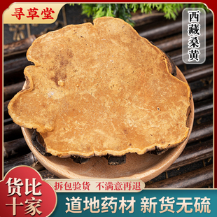 【20年野生桑黄】西藏正宗桑树桑黄正品灵芝野生桑黄500g克一斤装