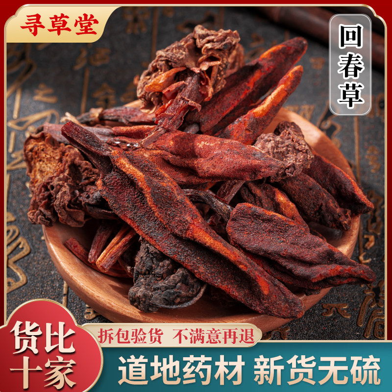 回春草野生500g克云南新货正品顶天柱草苁蓉男性滋补泡酒茶深山采,传统滋补营养品,其他药食同源食品,淘宝优惠券,粉丝福利购,淘宝优惠卷