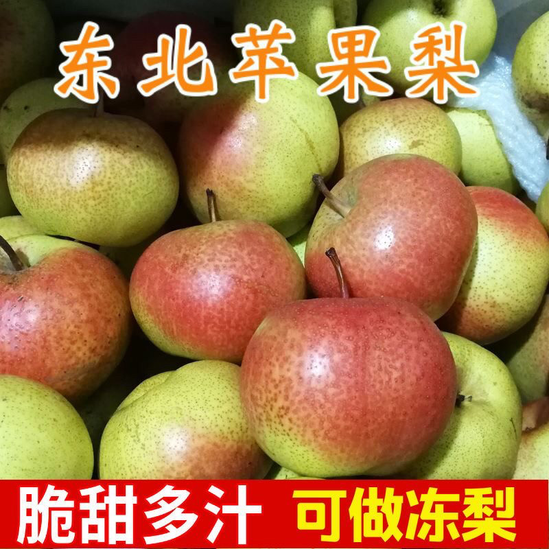 正宗东北苹果梨延边特产可做冻梨酥梨秋子梨新鲜水果脆甜多汁包邮