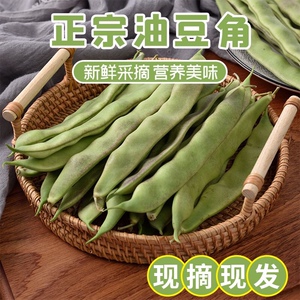 东北特产新鲜蔬菜面豆角九月青油豆角扁豆角一点红九粒现摘现发