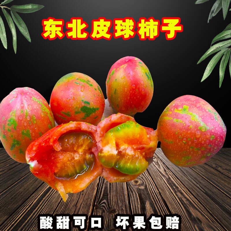 东北花皮球西红柿新鲜现摘现发当季水果虎皮西红柿