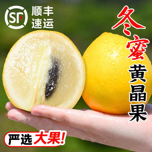 黄晶果新鲜正宗冬蜜鲜果四季黄宝石大果高山特产高端牛奶果黄晶果