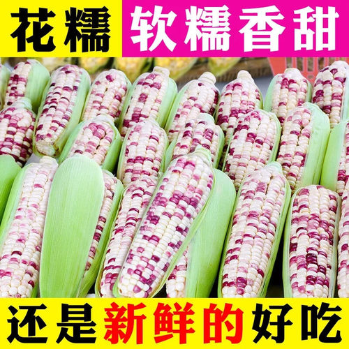 正宗花糯玉米鲜蔡家领券下单