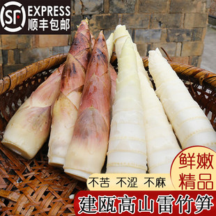 雷笋新鲜小竹笋冬笋尖5斤嫩笋现挖笋临安春笋天目山农家野生蔬菜