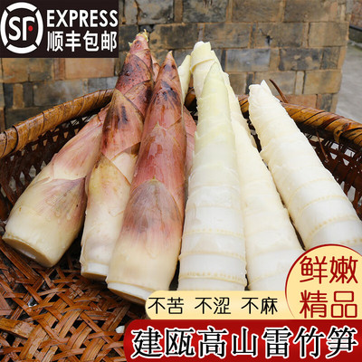 新鲜现摘临安雷竹笋冬笋鲜蔡家