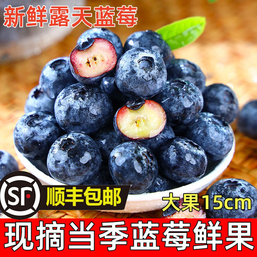 云南蓝莓新鲜蓝莓王鲜果盒装应当季水果现摘现发孕妇整箱大果包邮 - 封面
