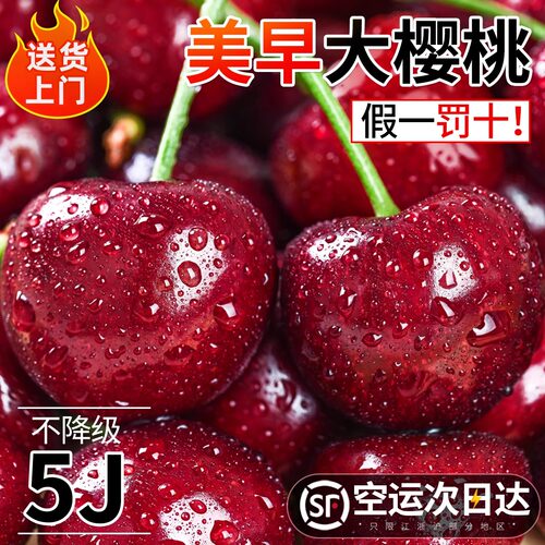 大连美早大樱桃新鲜发货
