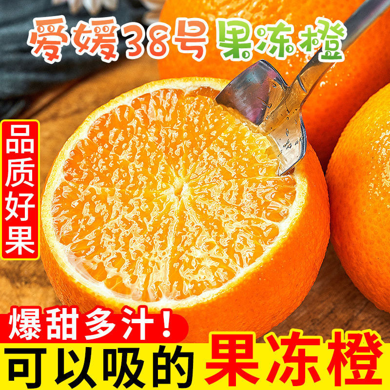 新鲜四川柑橘蜜桔子包邮当季水果