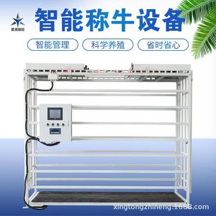 肉牛智能識(shí)別稱重設(shè)備分群管理測(cè)量精準(zhǔn)肉牛育肥養(yǎng)殖設(shè)備