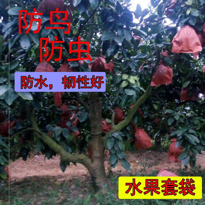 包柚子专用套袋西柚套袋实用蜜柚早熟水果封口套装袋子三红柚纸袋