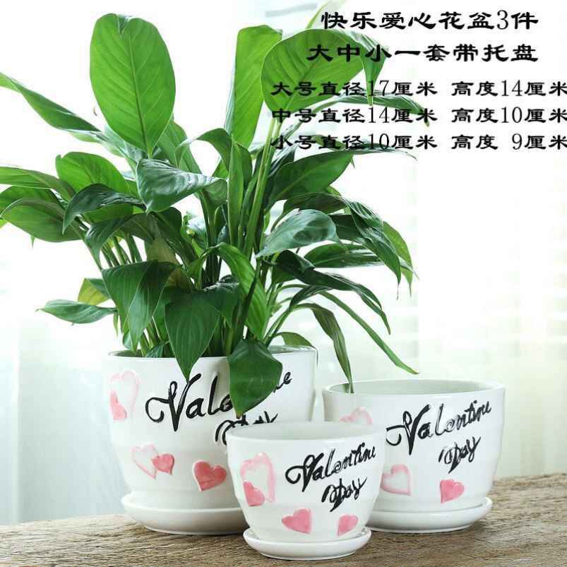 阳台绿植花盆陶瓷多肉大口径花盆包邮植物多肉圆形铜钱草花器梅花