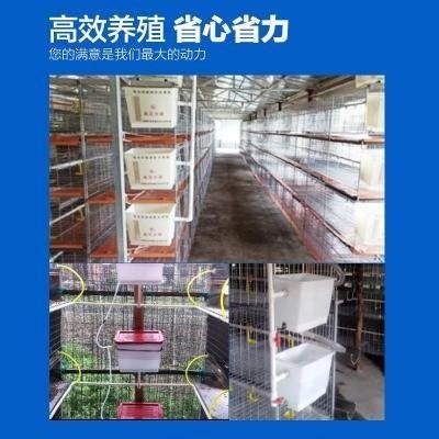 塑料浮球饮水养殖场减压水箱鸡用水桶调压器鸡场自动加厚畜牧 畜牧/养殖物资 畜牧/养殖器械 原图主图