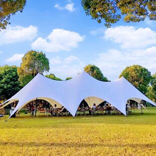 户外营地帐篷超大穹顶防雨防晒单双峰网红八爪鱼营地万重山天幕