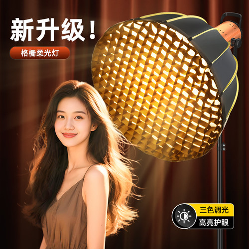 SL200专业深口直播补光灯柔光箱